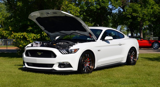 Motm Zx2reme S 2017 Mustang Gt Forum News Blog Motm Zx2reme S 2017 Mustang Gt
