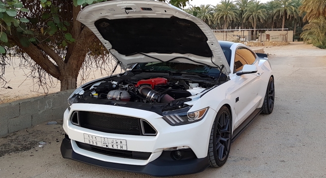 Motm Shamlan S Whippled 2016 Mustang Gt 2017 Forum News Motm Shamlan S Whippled 2016 Mustang Gt