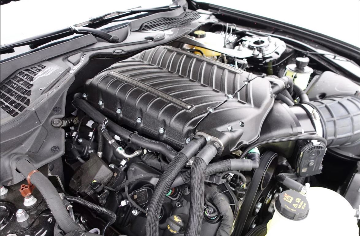 2022 Mustang Mach 1 Whipple Stage 1 Supercharger Dyno 2015+ S550